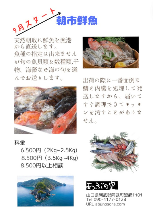阿武発「あぶの空」から鮮魚宅配始めます。9月スタート！