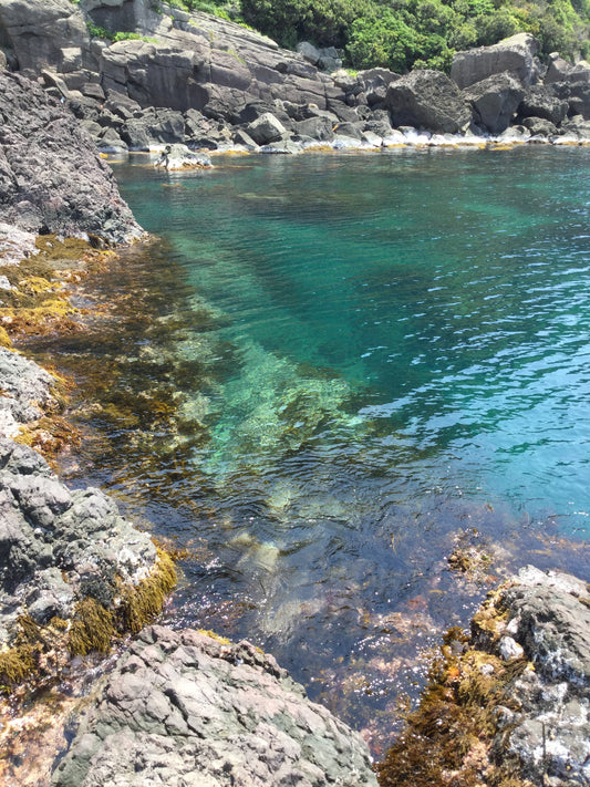 夏の穏やかで優しい海の日本海
